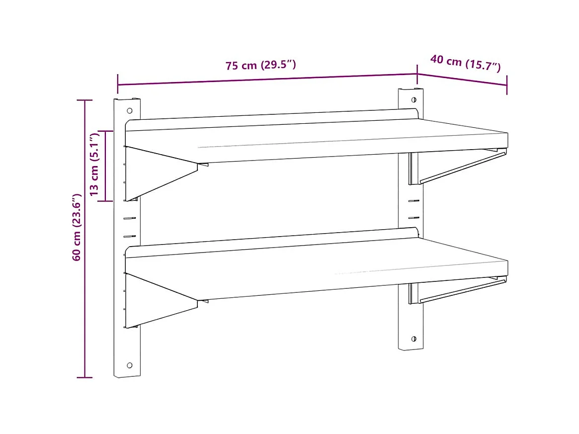 Wandschap 2-laags 75x40x60 cm roestvrijstaal zilverkleurig