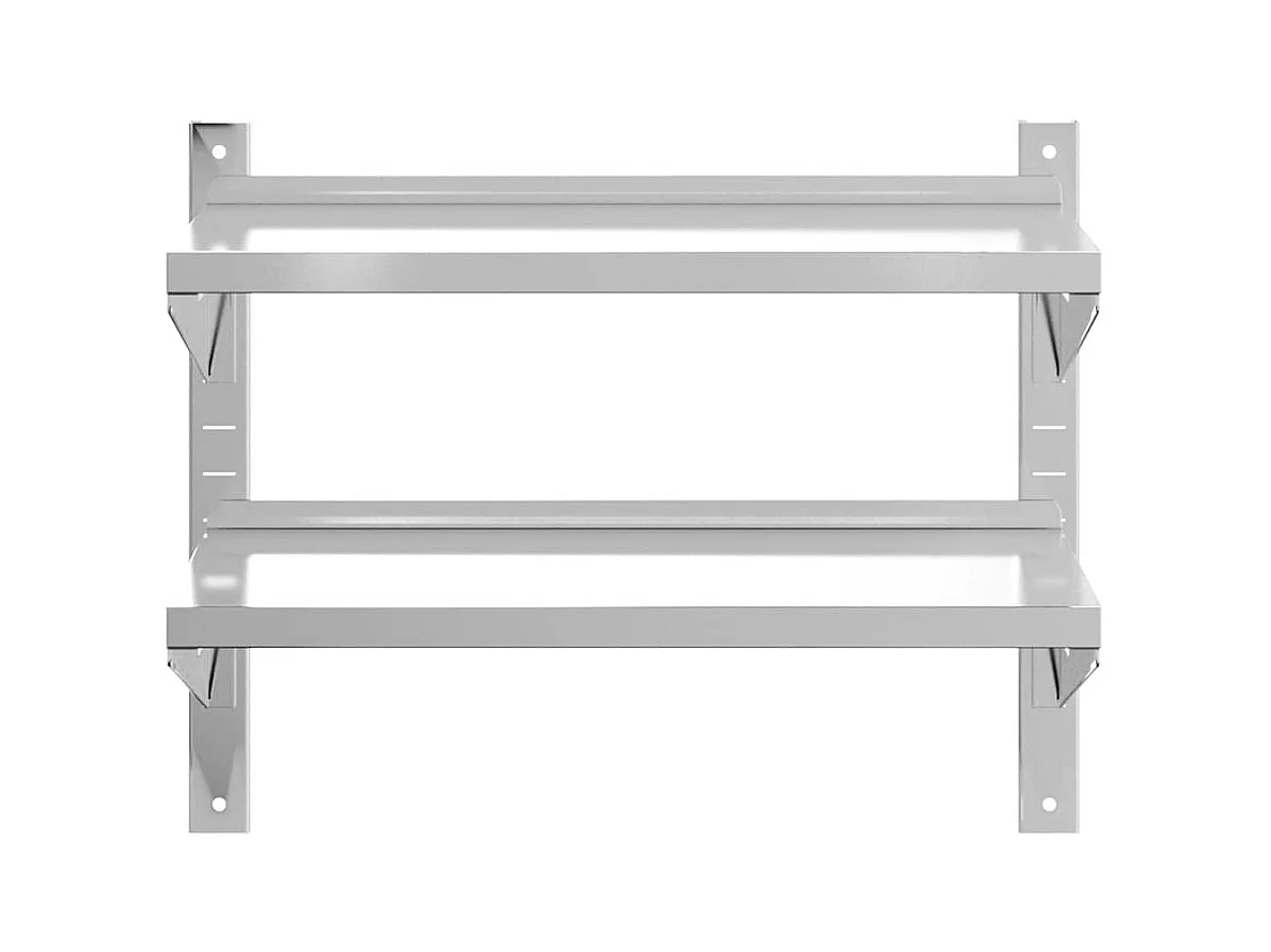 Wandschap 2-laags 75x40x60 cm roestvrijstaal zilverkleurig