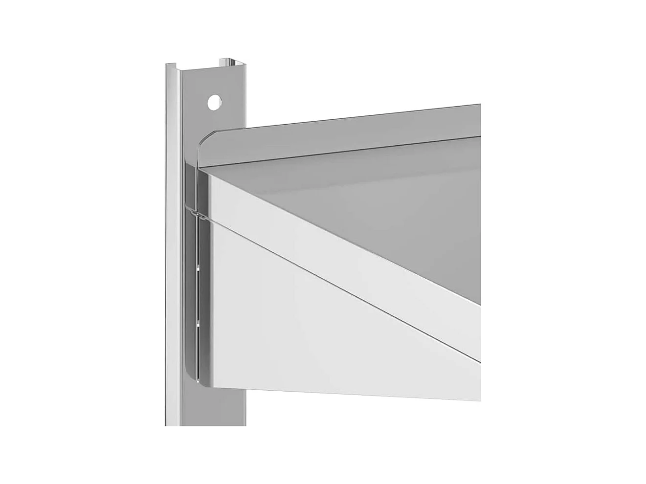 Wandschap 2-laags 75x40x60 cm roestvrijstaal zilverkleurig