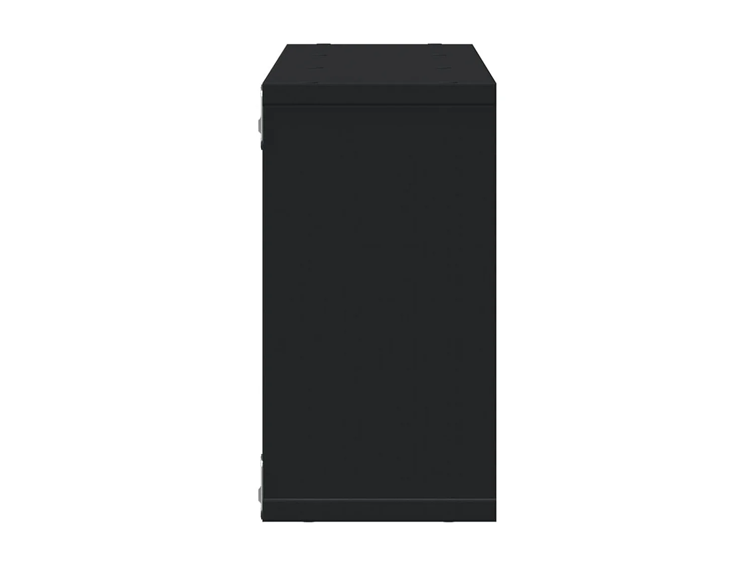 Wandschrank 100x16x30 cm Schwarz Holzwerkstoff