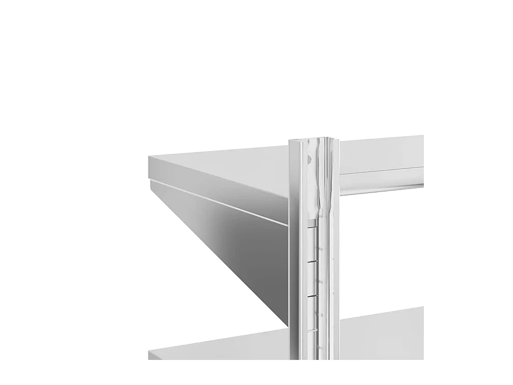 Wandschap 2-laags 50x23,5x48 cm roestvrijstaal zilverkleurig