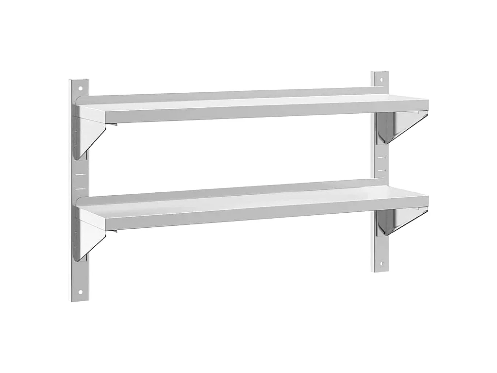 Mensola a Muro 2 Ripiani 100x23,5x60cm Argento in Acciaio Inox