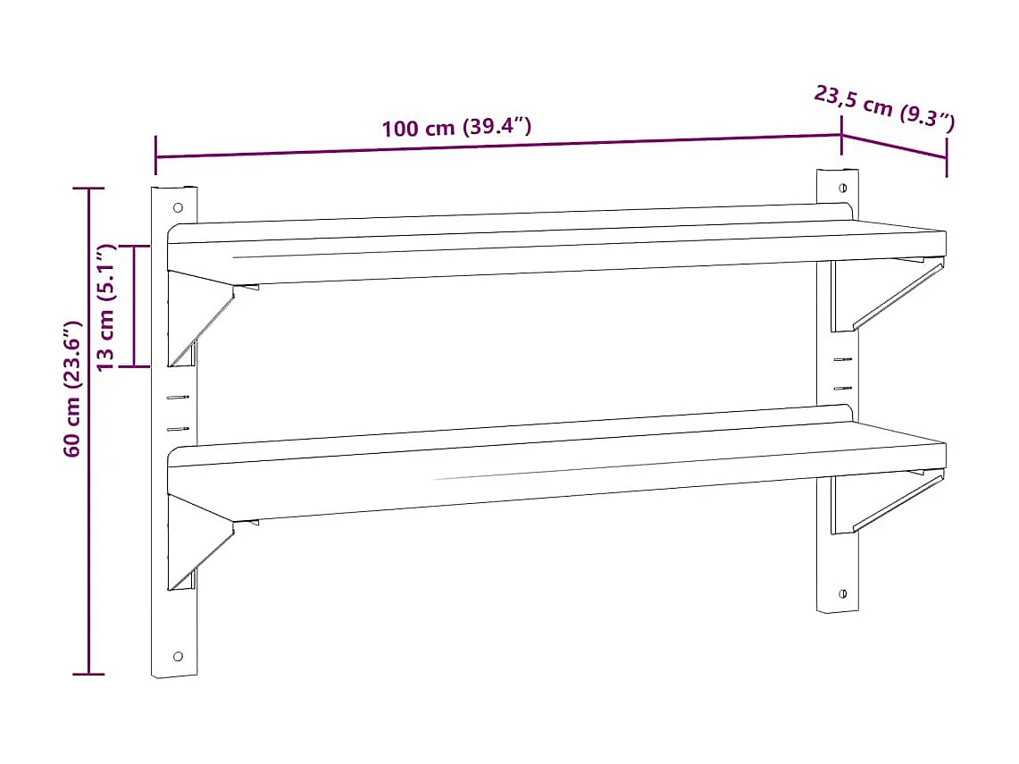 Mensola a Muro 2 Ripiani 100x23,5x60cm Argento in Acciaio Inox