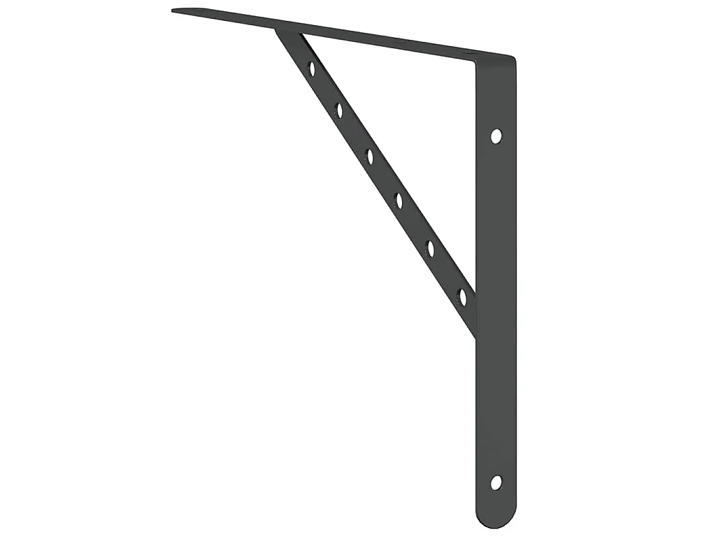 Plankdragers 4 st 40x2,5x25 cm roestvrijstaal zwart