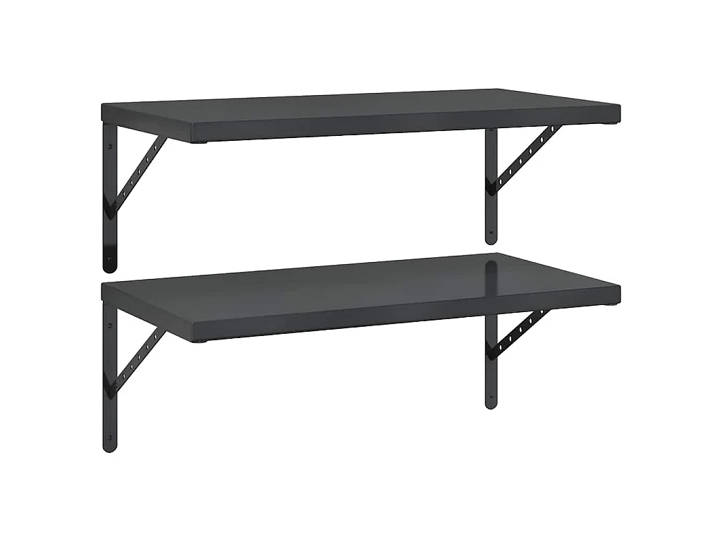 Wandschappen 2 st 75x40 cm roestvrijstaal zwart