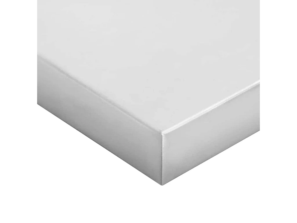 Estantes de pared 2 uds acero inoxidable plateado 75x30x3 cm