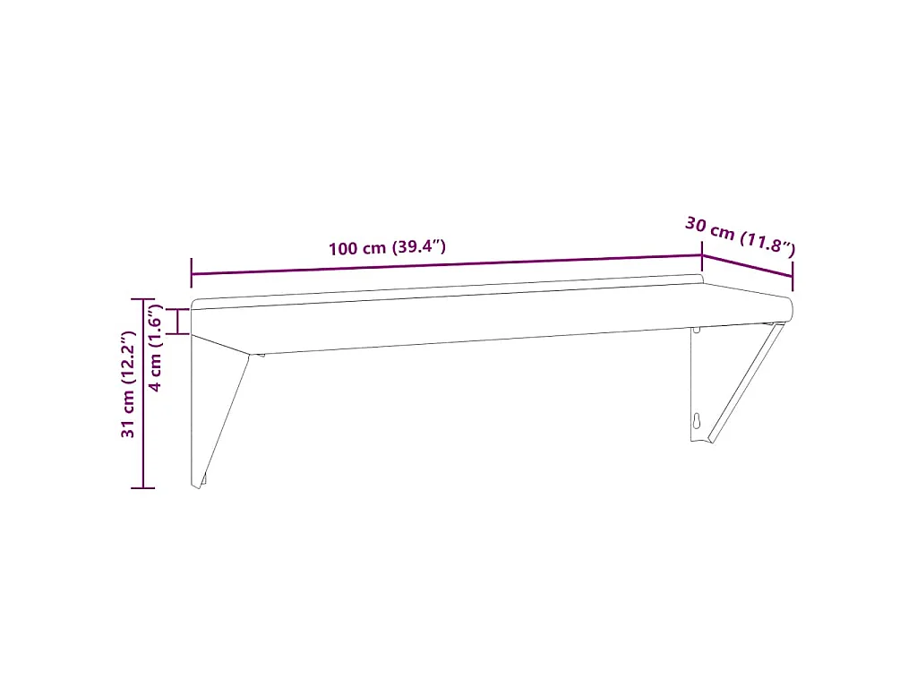 Mensola a Muro 100x30x31 cm Argento in Acciaio Inossidabile