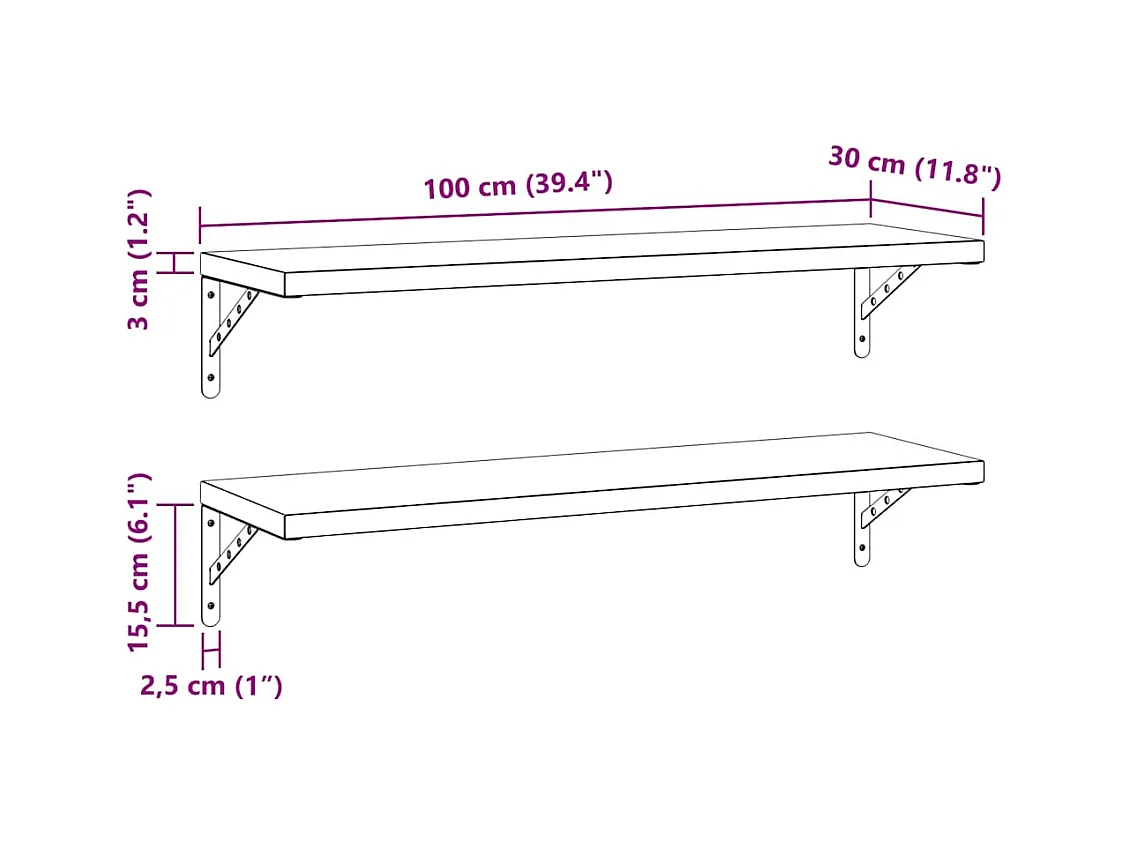 Mensole a Muro 2 pz 100x30 cm Argento in Acciaio Inossidabile