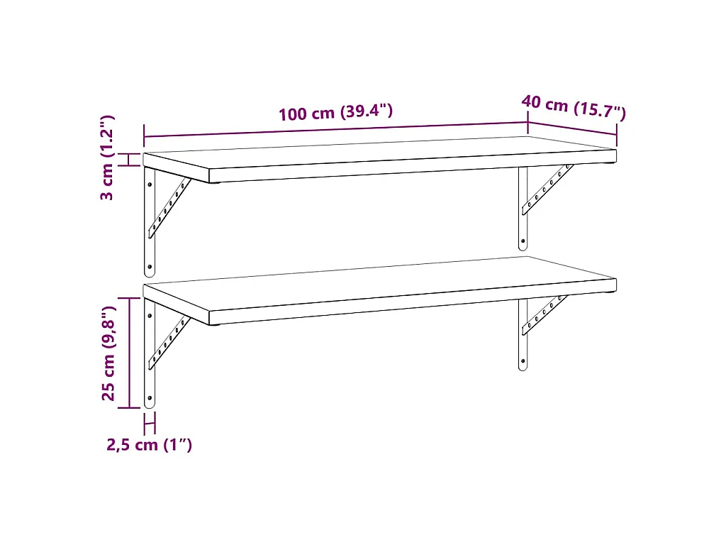 Wandschappen 2 st 100x40 cm roestvrijstaal zilverkleurig