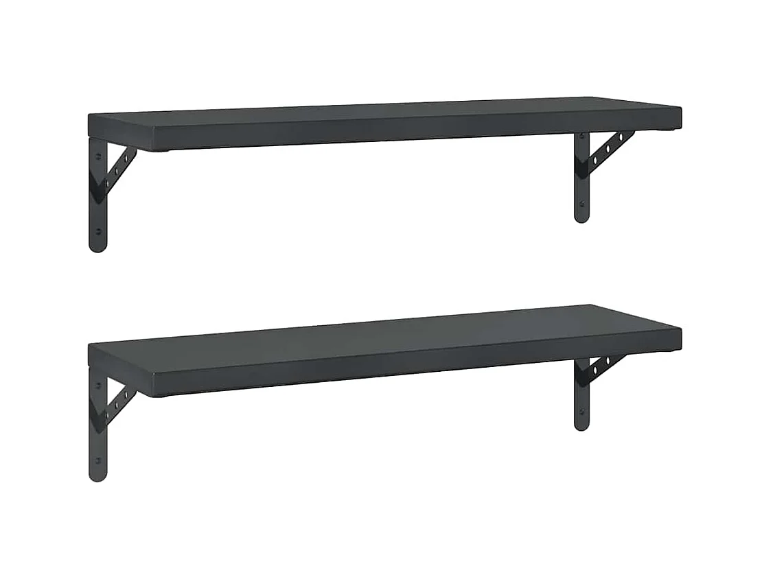 Étagères murales 2 pcs 75x23,5 cm noir acier inoxydable
