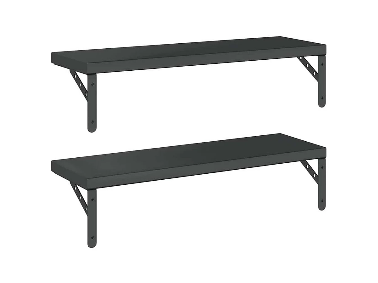 Étagères murales 2 pcs 75x23,5 cm noir acier inoxydable