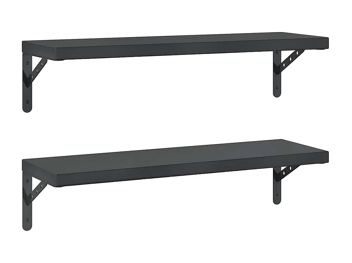 Étagères murales 2 pcs 75x23,5 cm noir acier inoxydable