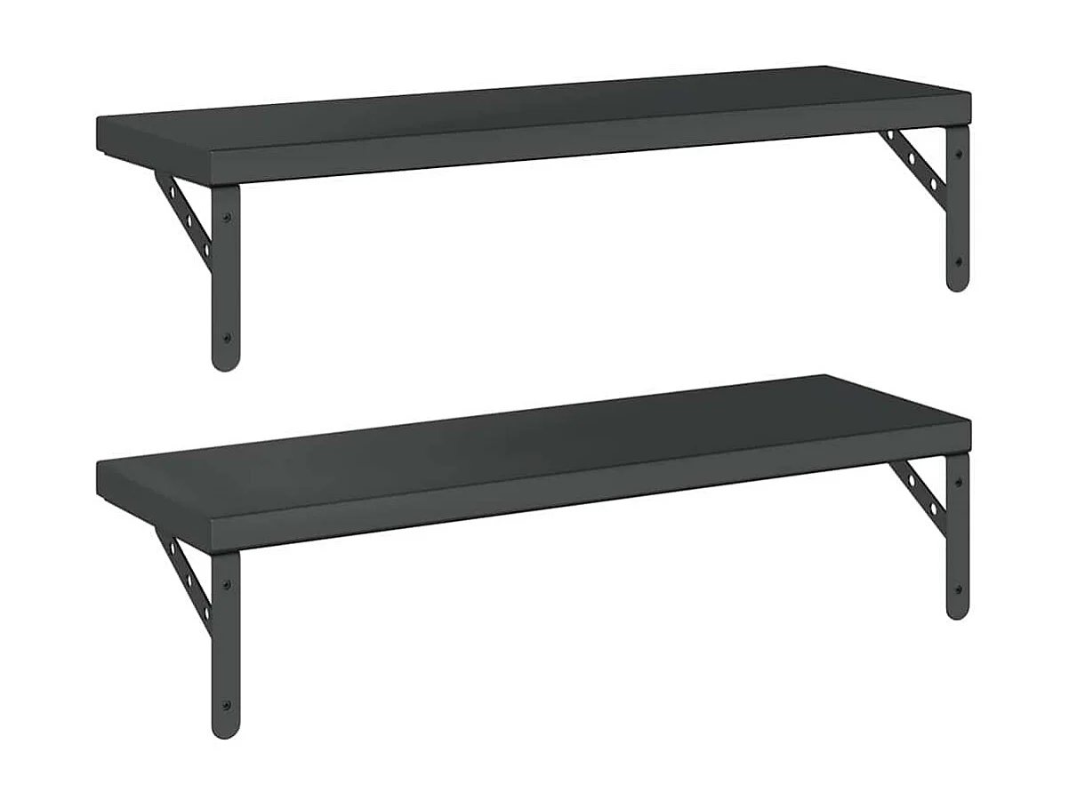 Étagères murales 2 pcs 75x23,5 cm noir acier inoxydable