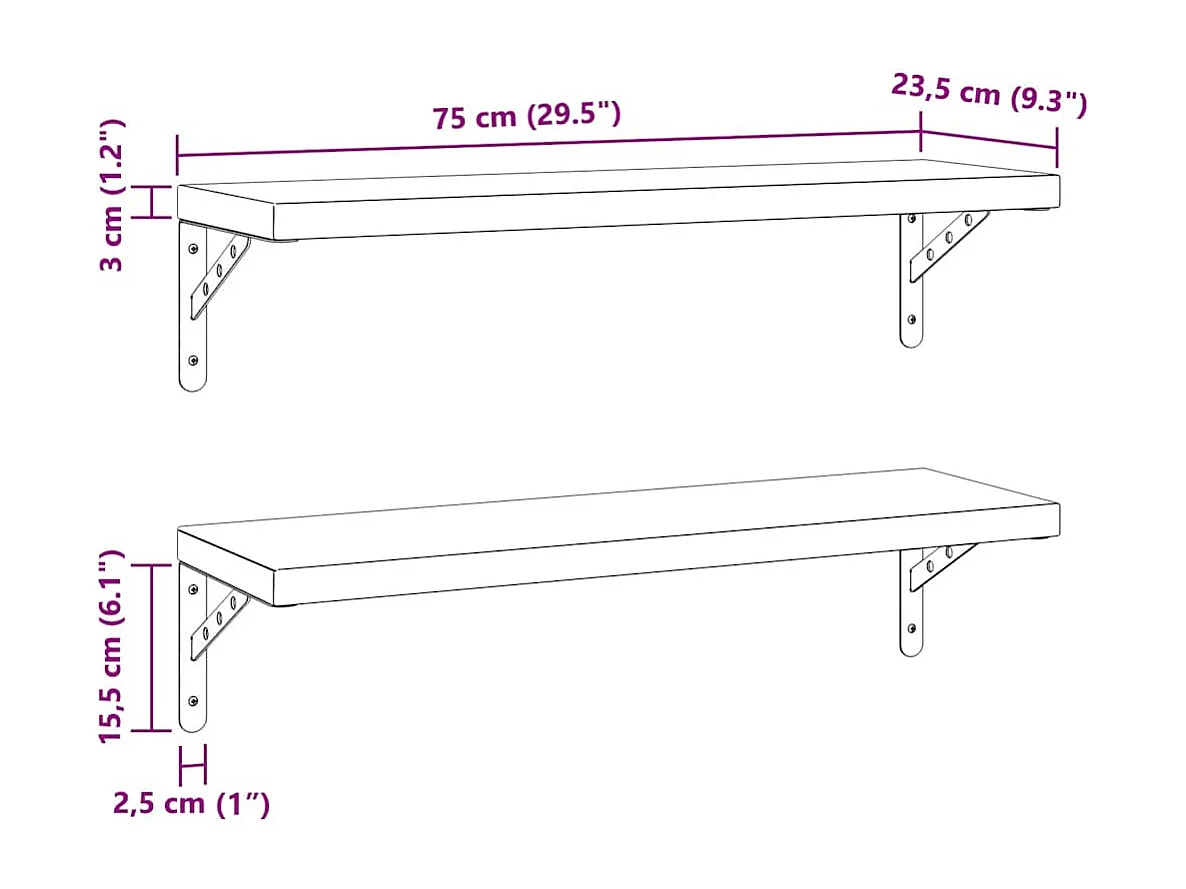 Étagères murales 2 pcs 75x23,5 cm noir acier inoxydable