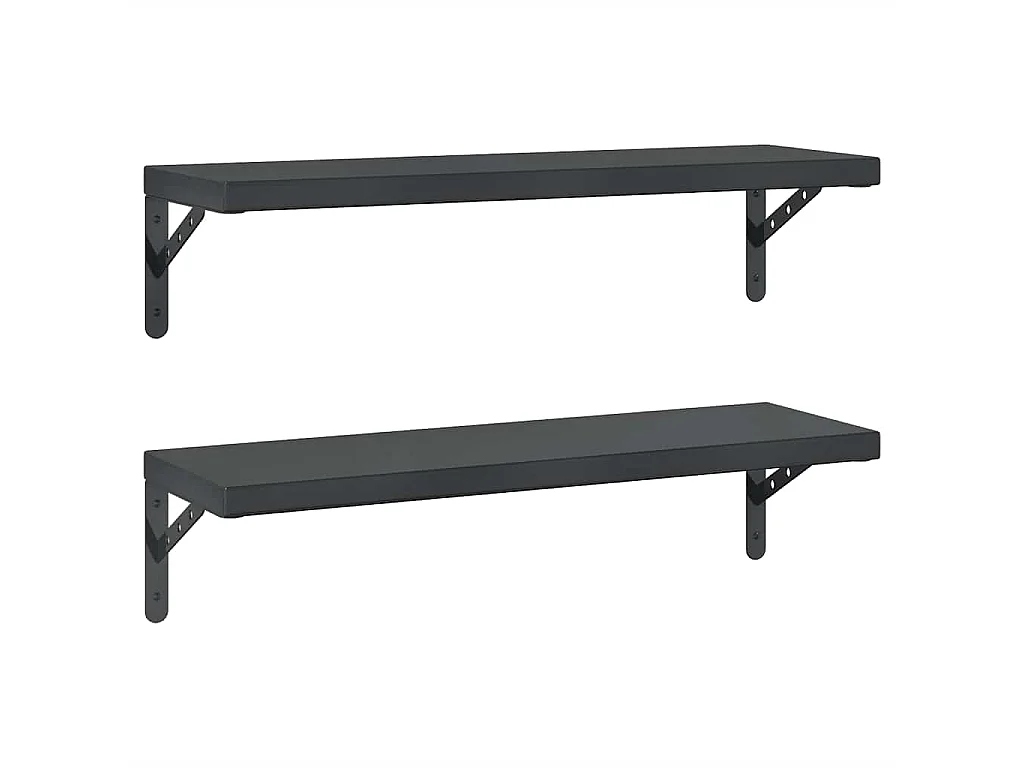 Wandschappen 2 st 75x23,5 cm roestvrijstaal zwart