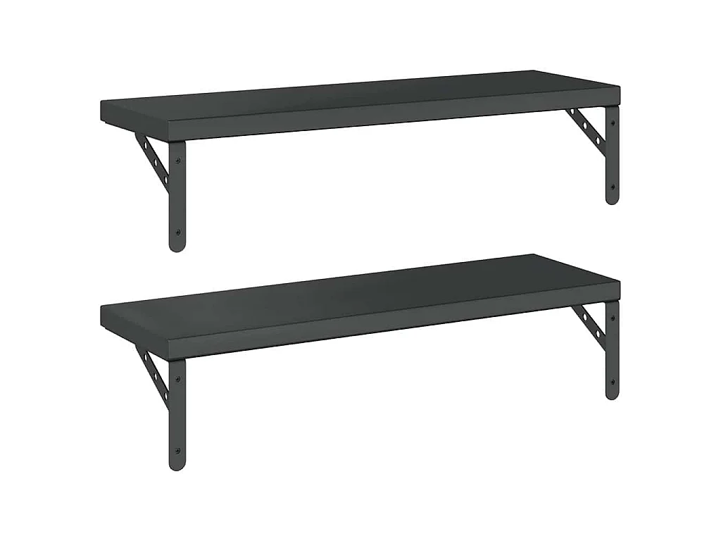 Étagères murales 2 pcs 75x23,5 cm noir acier inoxydable