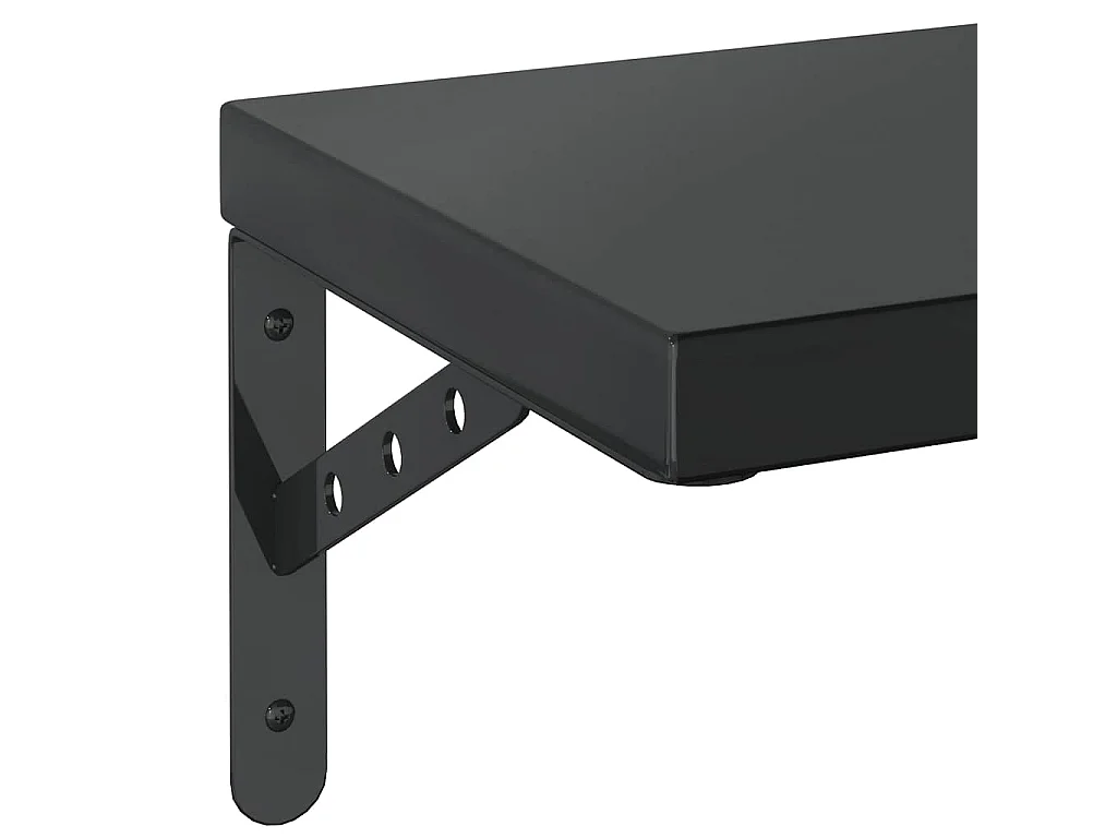 Étagères murales 2 pcs 75x23,5 cm noir acier inoxydable