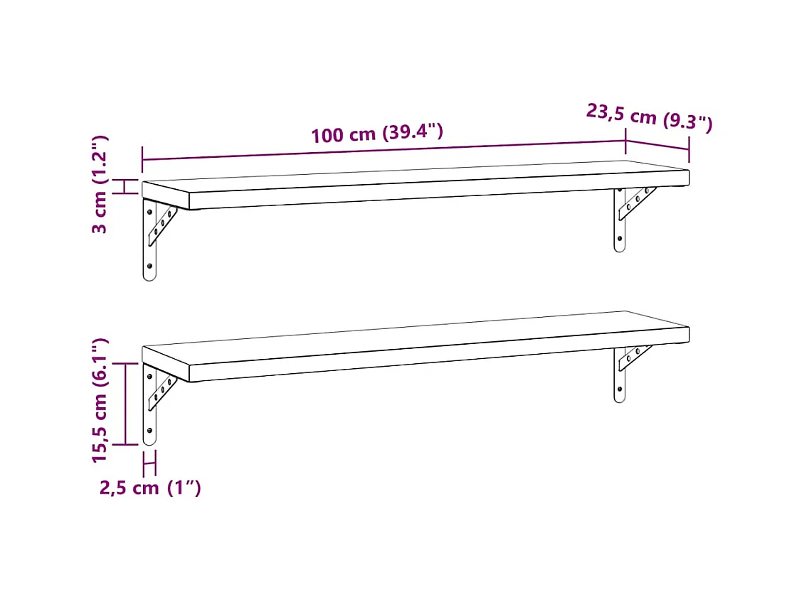 Étagères murales 2 pcs 100x23,5 cm argenté acier inoxydable
