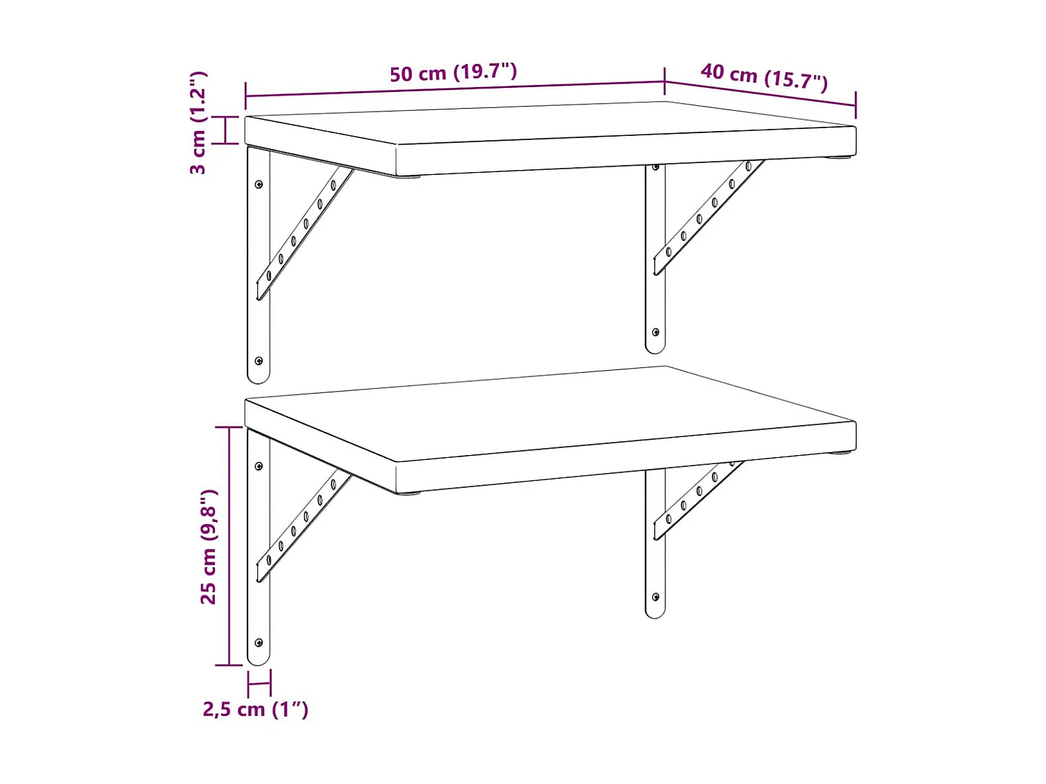 Étagères murales 2 pcs 50x40 cm noir acier inoxydable