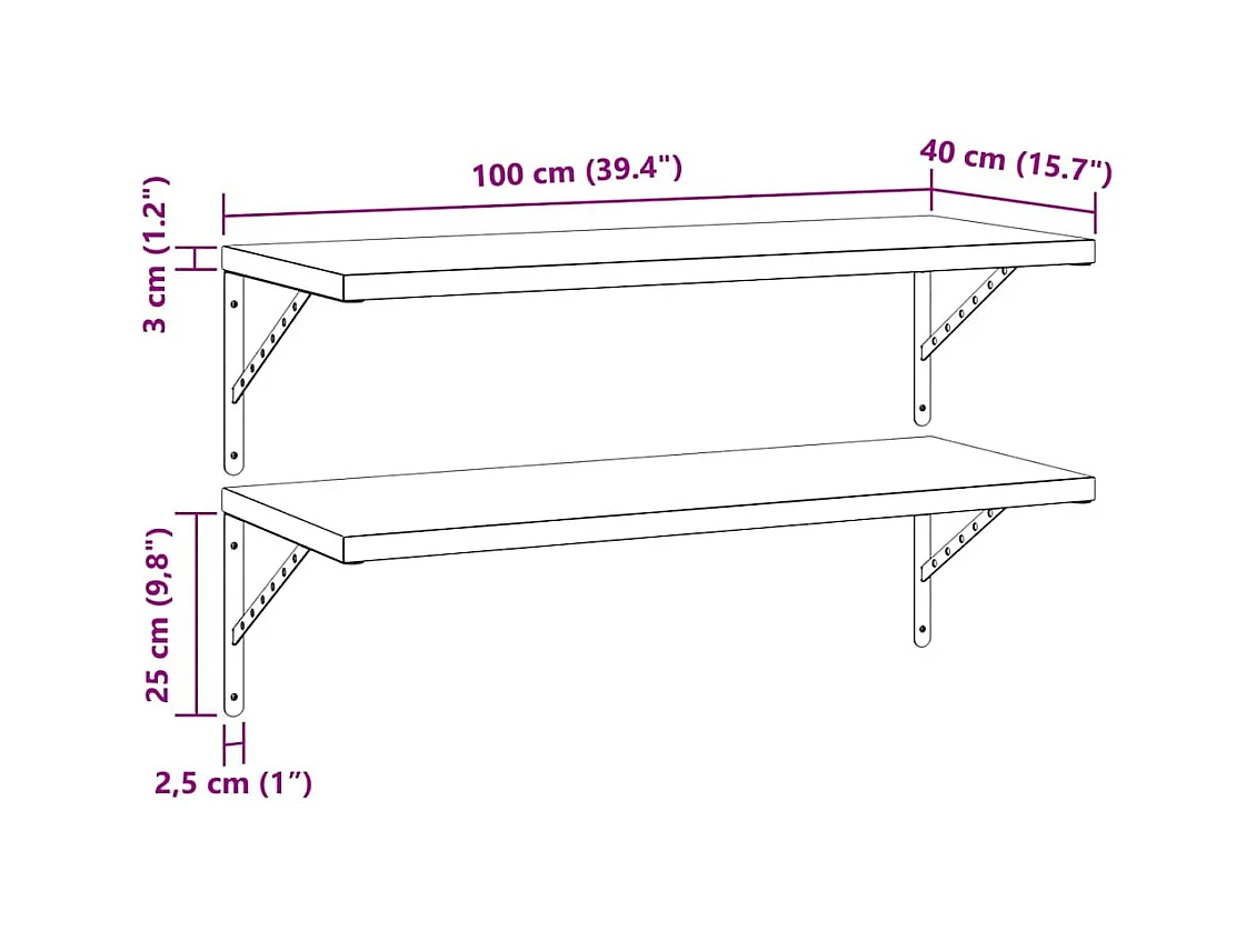 Étagères murales 2 pcs 100x40 cm noir acier inoxydable