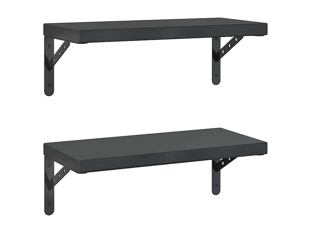 Étagères murales 2 pcs 50x23,5 cm noir acier inoxydable
