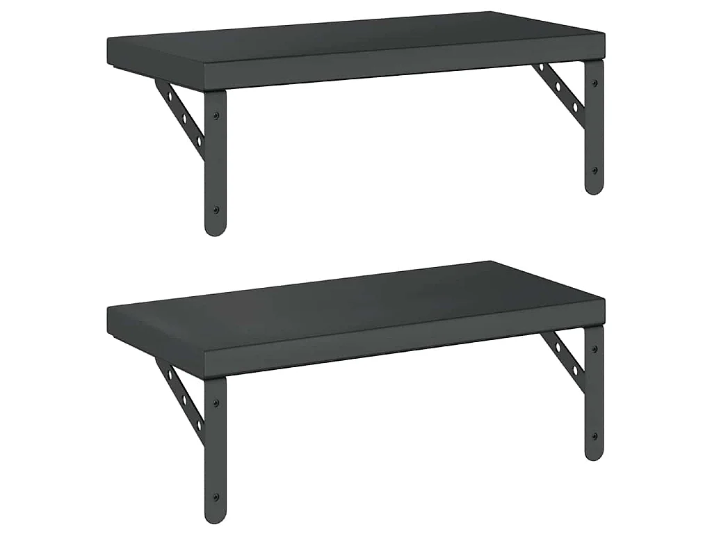 Étagères murales 2 pcs 50x23,5 cm noir acier inoxydable