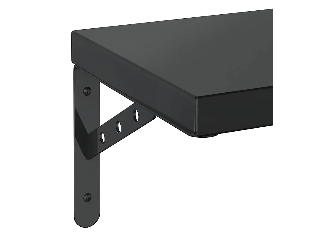 Étagères murales 2 pcs 50x23,5 cm noir acier inoxydable