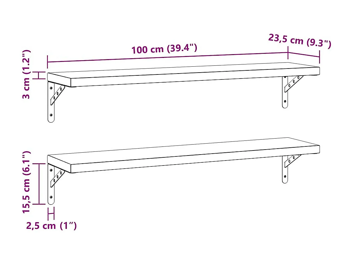 Étagères murales 2 pcs 100x23,5 cm noir acier inoxydable