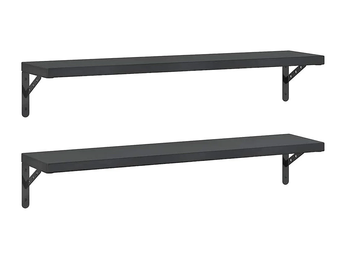 Wandregale 2 Stk. 100x23,5 cm Schwarz Edelstahl