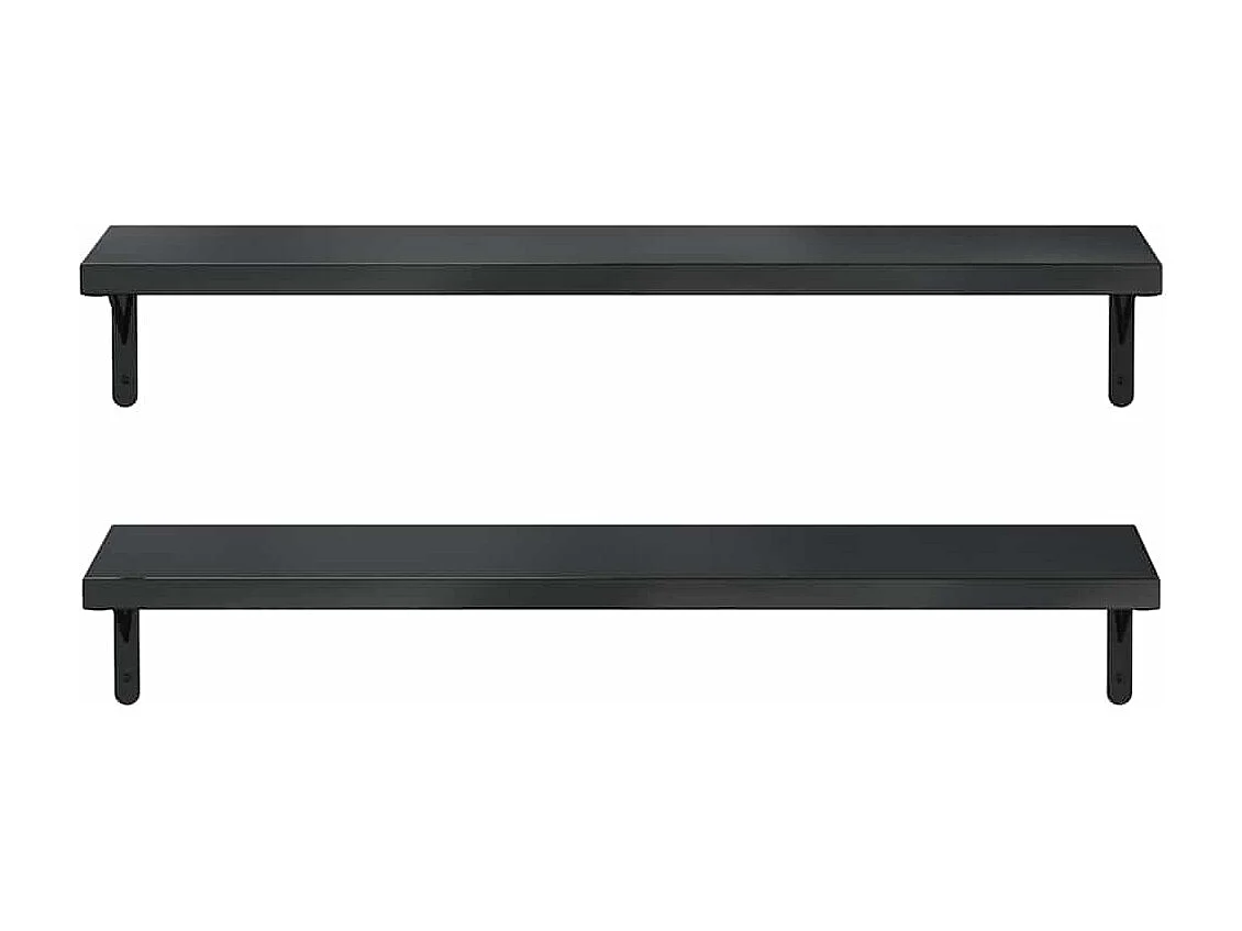 Wandregale 2 Stk. 100x23,5 cm Schwarz Edelstahl