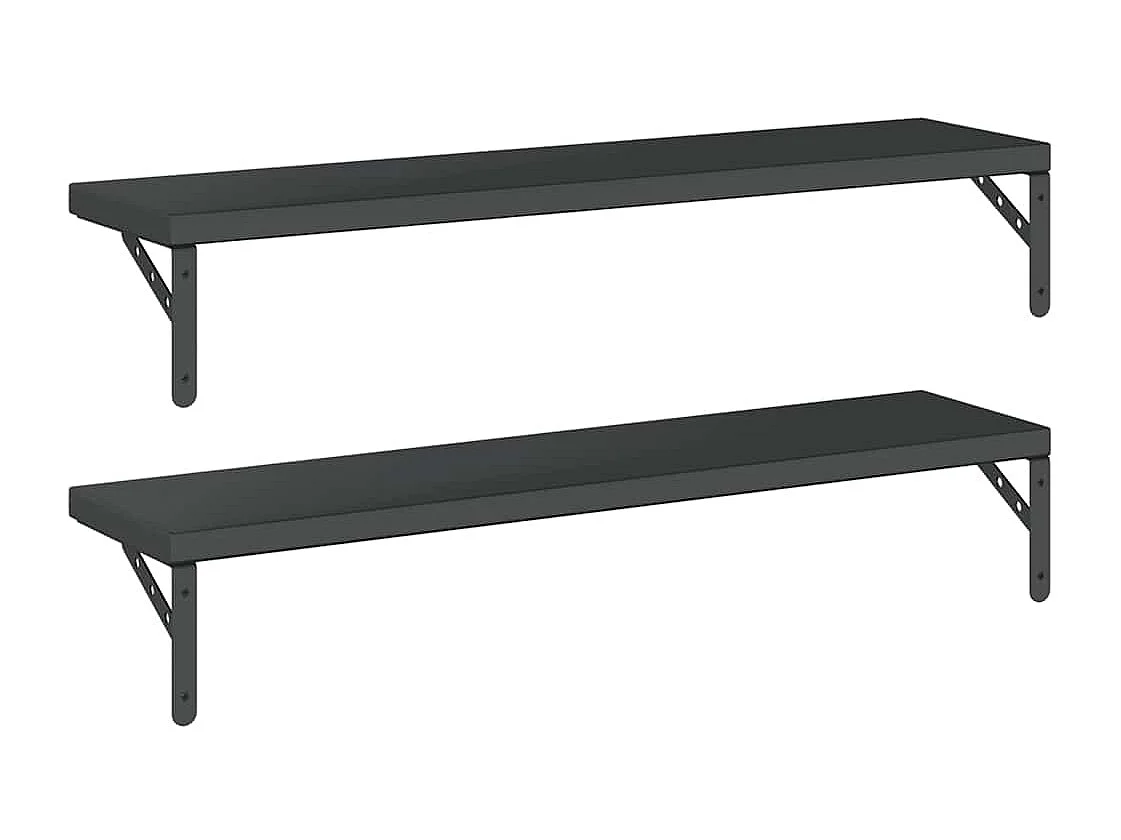 Wandregale 2 Stk. 100x23,5 cm Schwarz Edelstahl