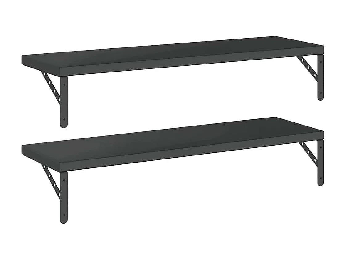 Mensole a Muro 2 pz 100x30 cm Nero in Acciaio Inossidabile
