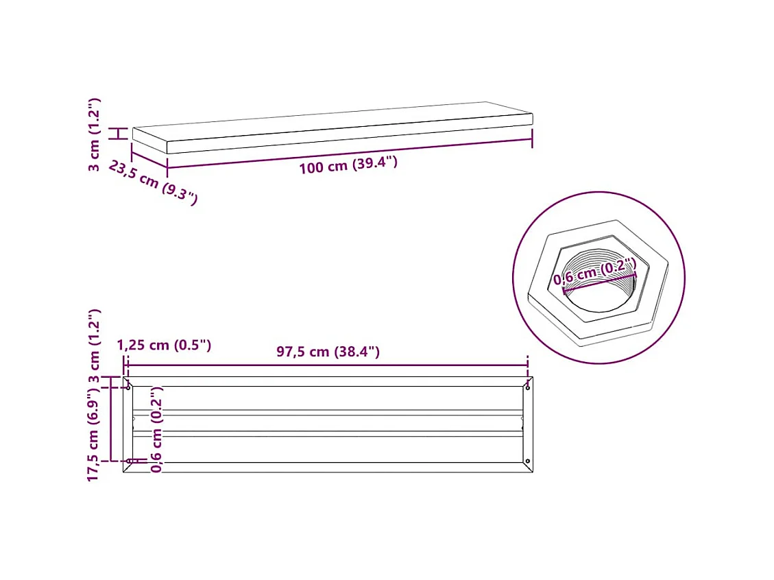 Étagères murales 2 pcs 100x23,5x3 cm noir acier inoxydable