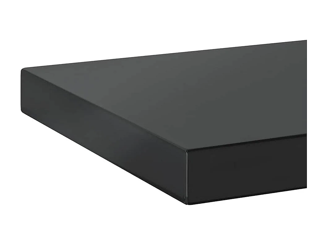 Étagères murales 2 pcs 100x23,5x3 cm noir acier inoxydable