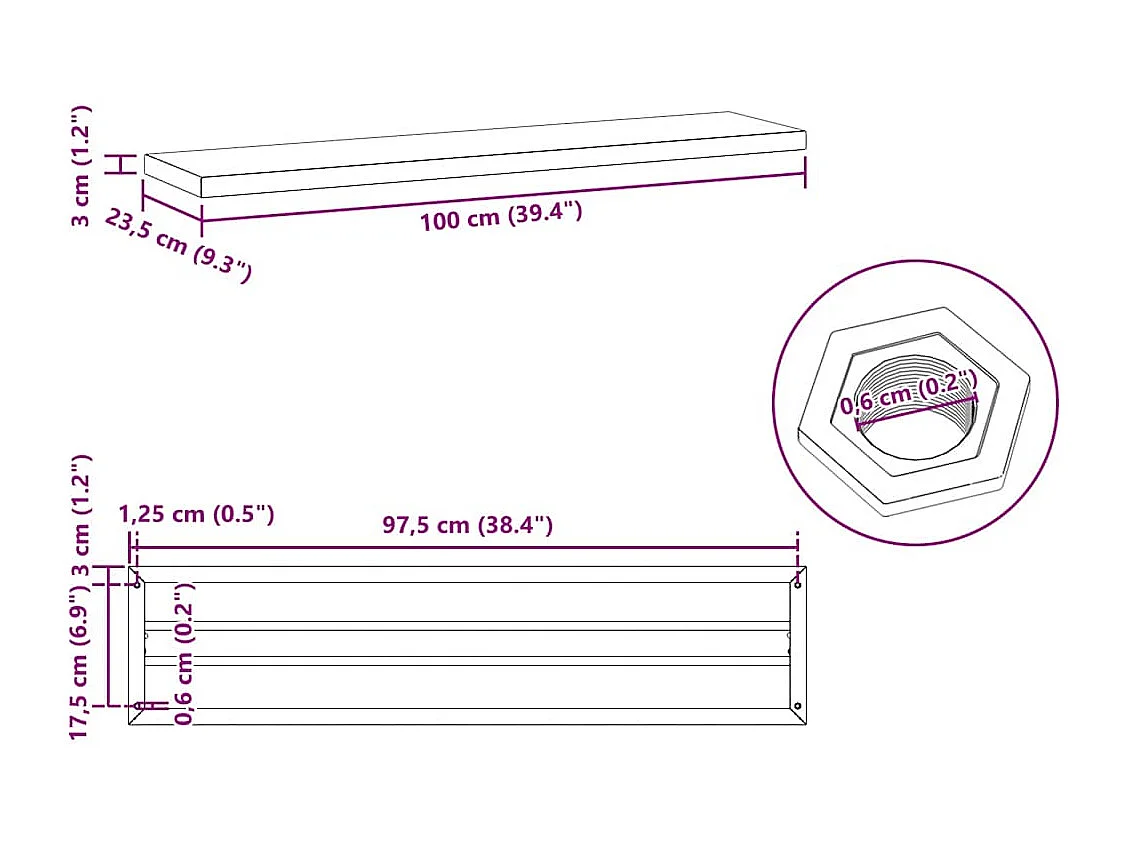 Étagères murales 2 pcs 100x23,5x3 cm noir acier inoxydable