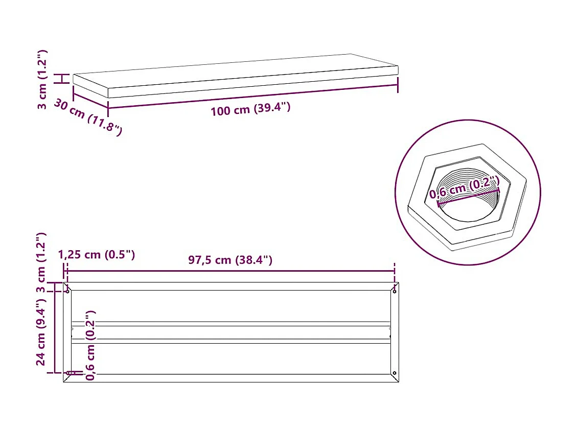 Étagères murales 2 pcs 100x30x3 cm noir acier inoxydable