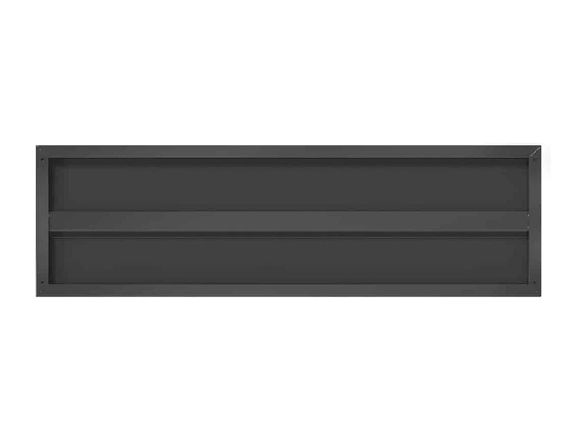 Étagères murales 2 pcs 100x30x3 cm noir acier inoxydable