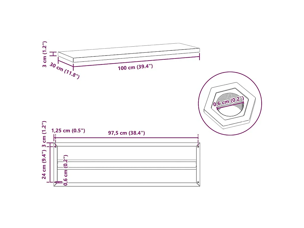 Étagères murales 2 pcs 100x30 cm noir acier inoxydable
