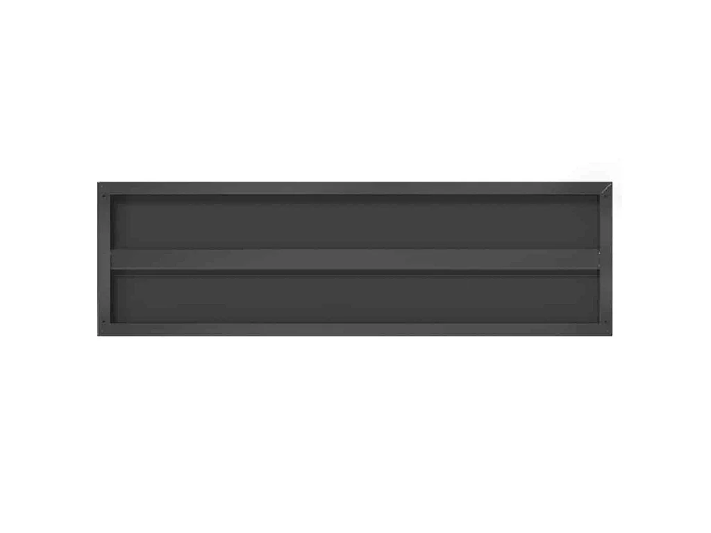 Étagères murales 2 pcs 100x30 cm noir acier inoxydable