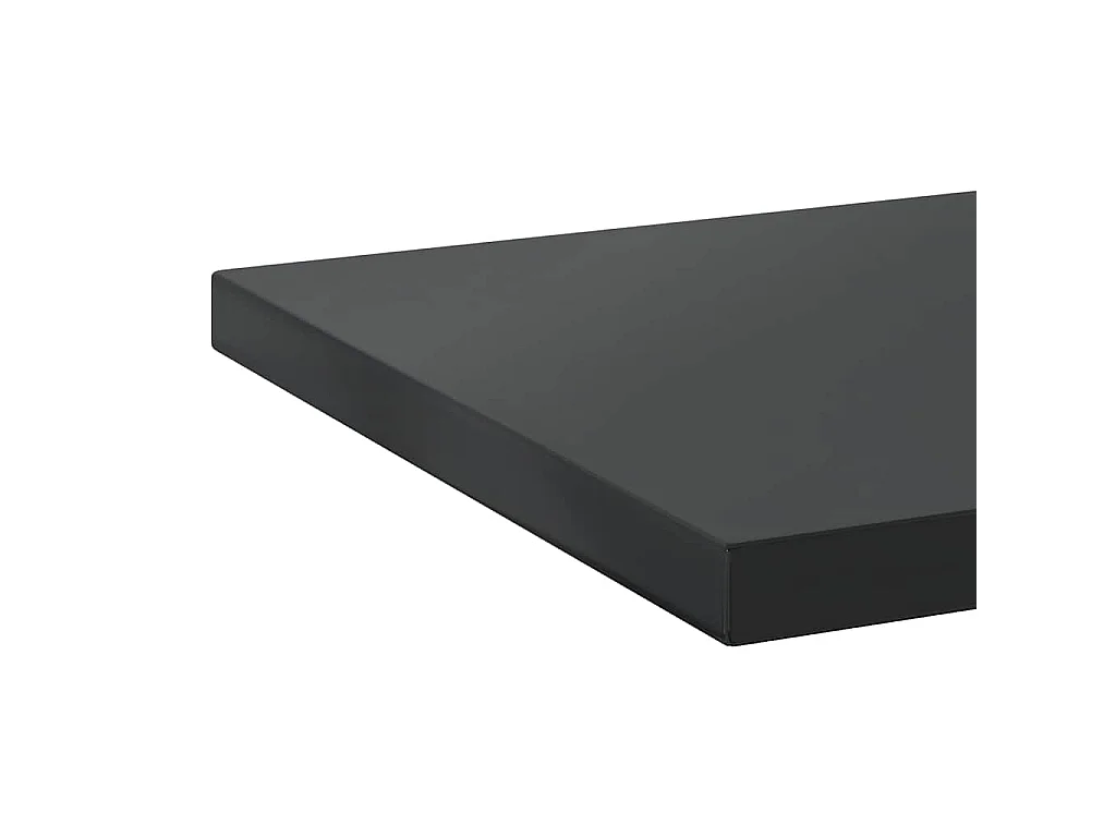 Étagères murales 2 pcs 100x30 cm noir acier inoxydable