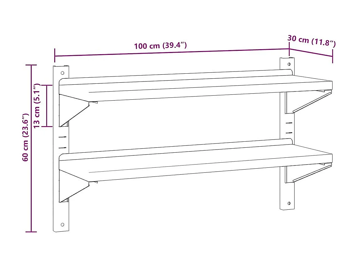 Wandschap 2-laags 100x30x60 cm roestvrijstaal zilverkleurig