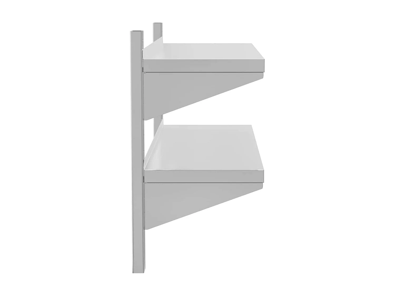 Wandschap 2-laags 100x30x60 cm roestvrijstaal zilverkleurig