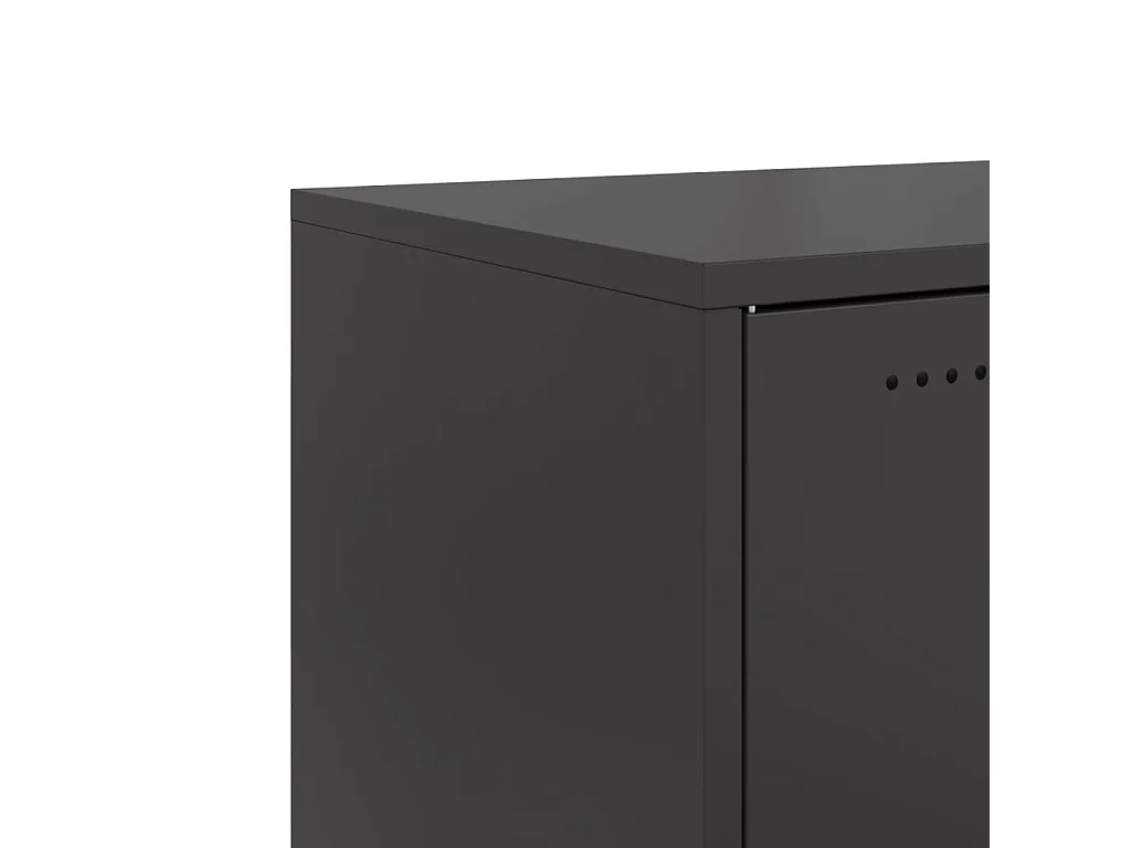 Dressoir 68x39x72 cm staal zwart