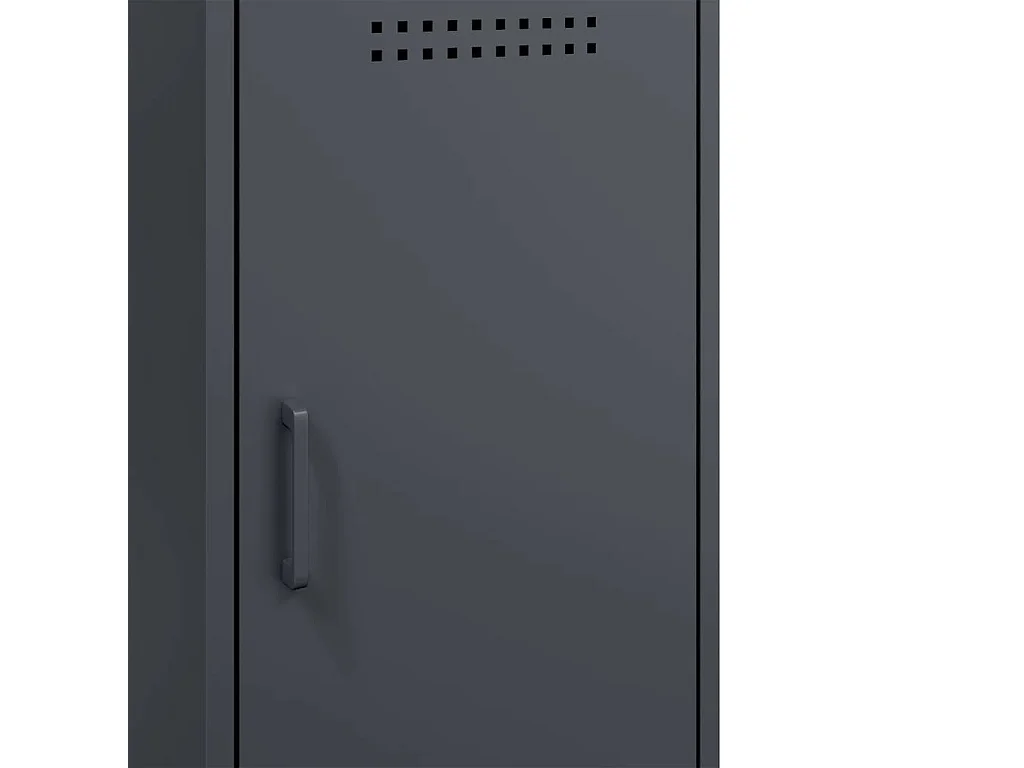 Buffets 2 pcs anthracite 36x39x79 cm acier
