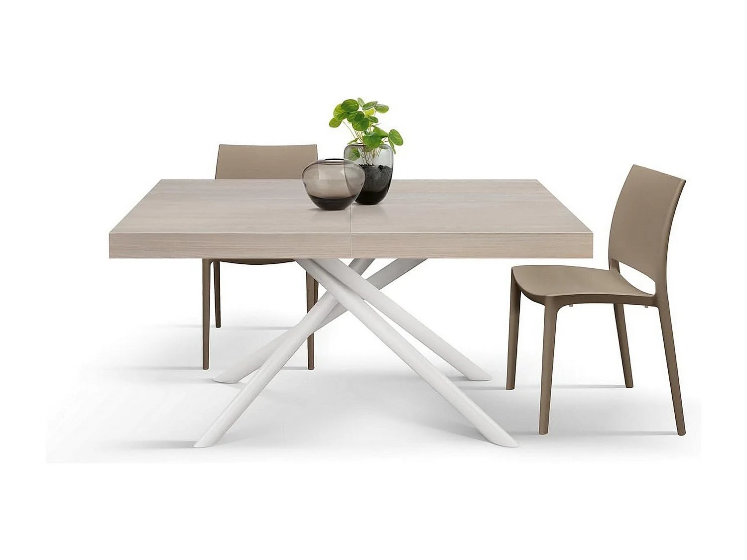 Table en bois, orme perlé, base blanche, ext.140x90-220x90cm - CARRARA