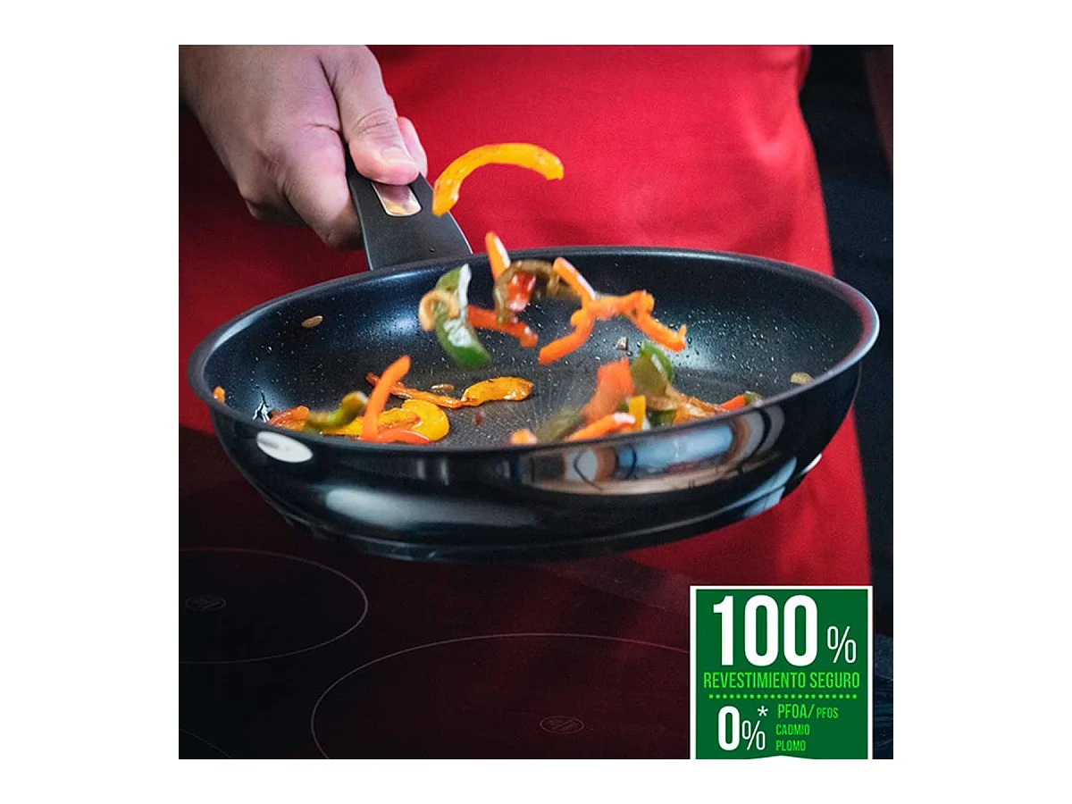 Sartén Emotion Tefal acero inoxidable Full Induction inox Ø24 cm