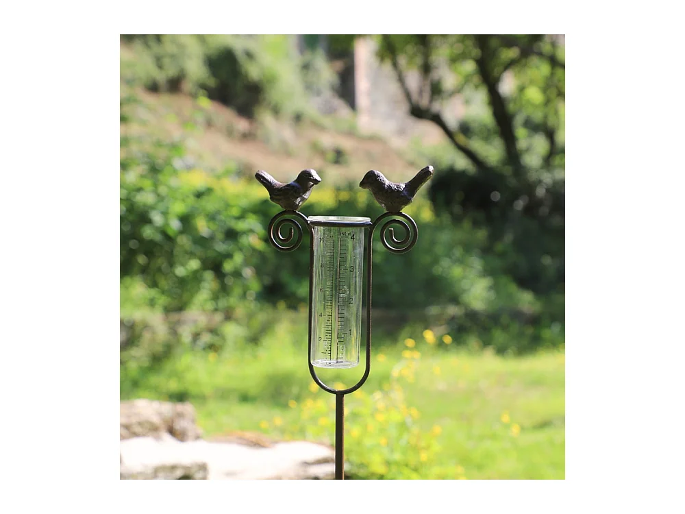 Tuteur plante grimpante pluviomètre à piquer fonte verre marron 100 cm