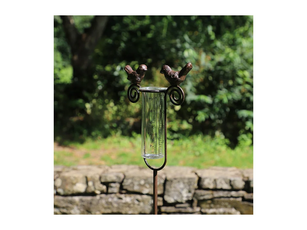 Tuteur plante grimpante pluviomètre à piquer fonte verre marron 100 cm