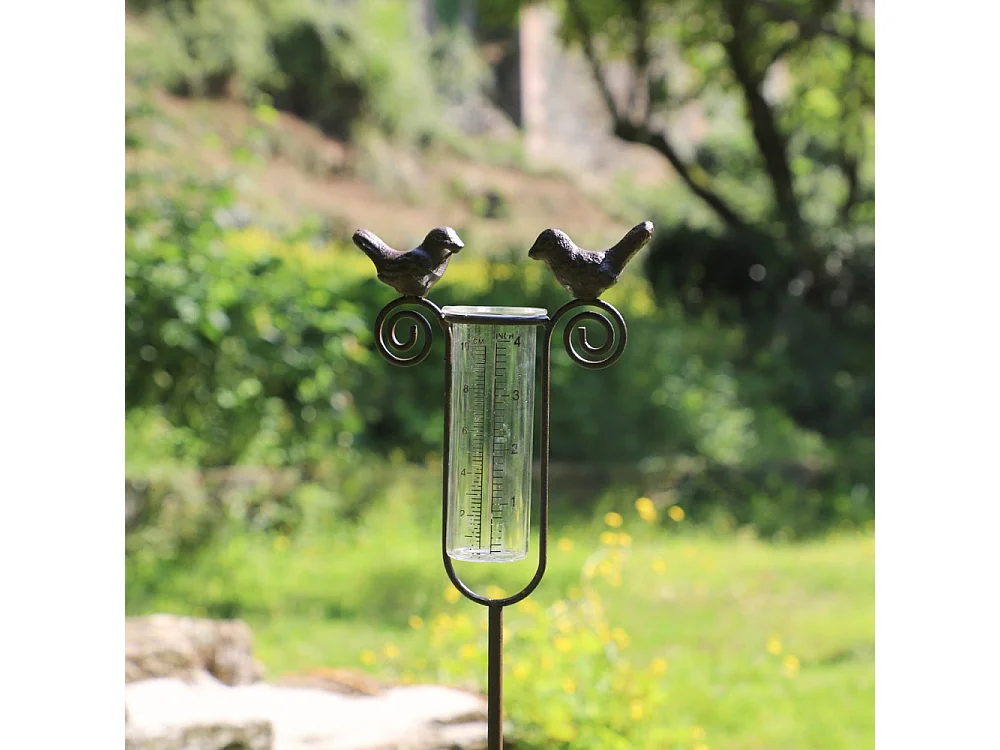 Tuteur plante grimpante pluviomètre à piquer fonte verre marron 100 cm