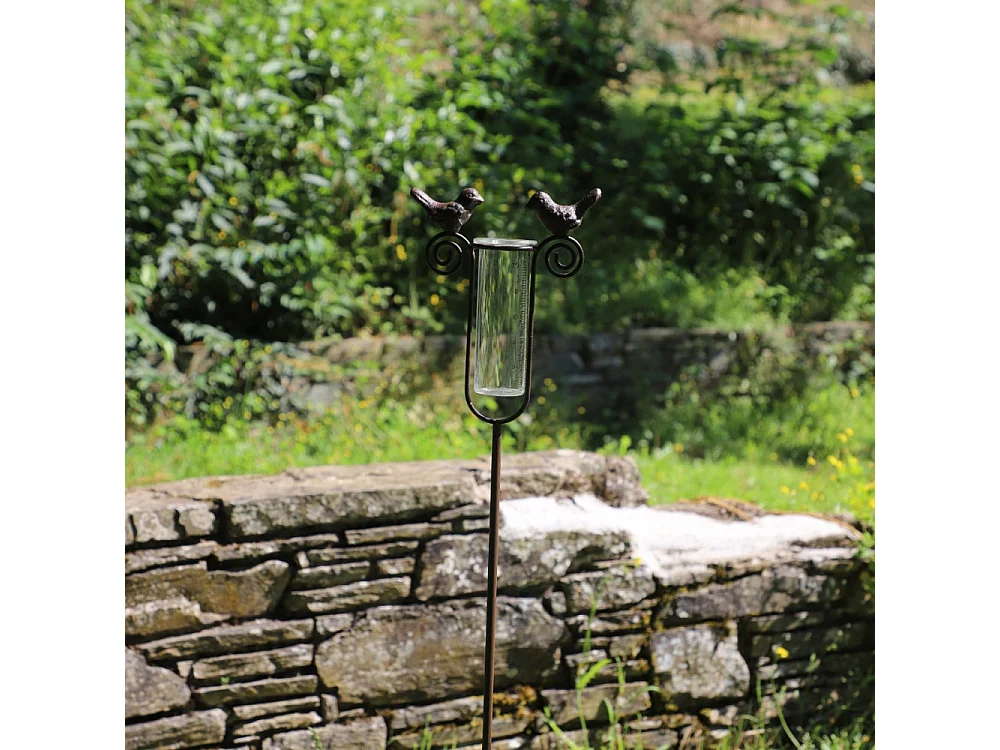 Tuteur plante grimpante pluviomètre à piquer fonte verre marron 100 cm